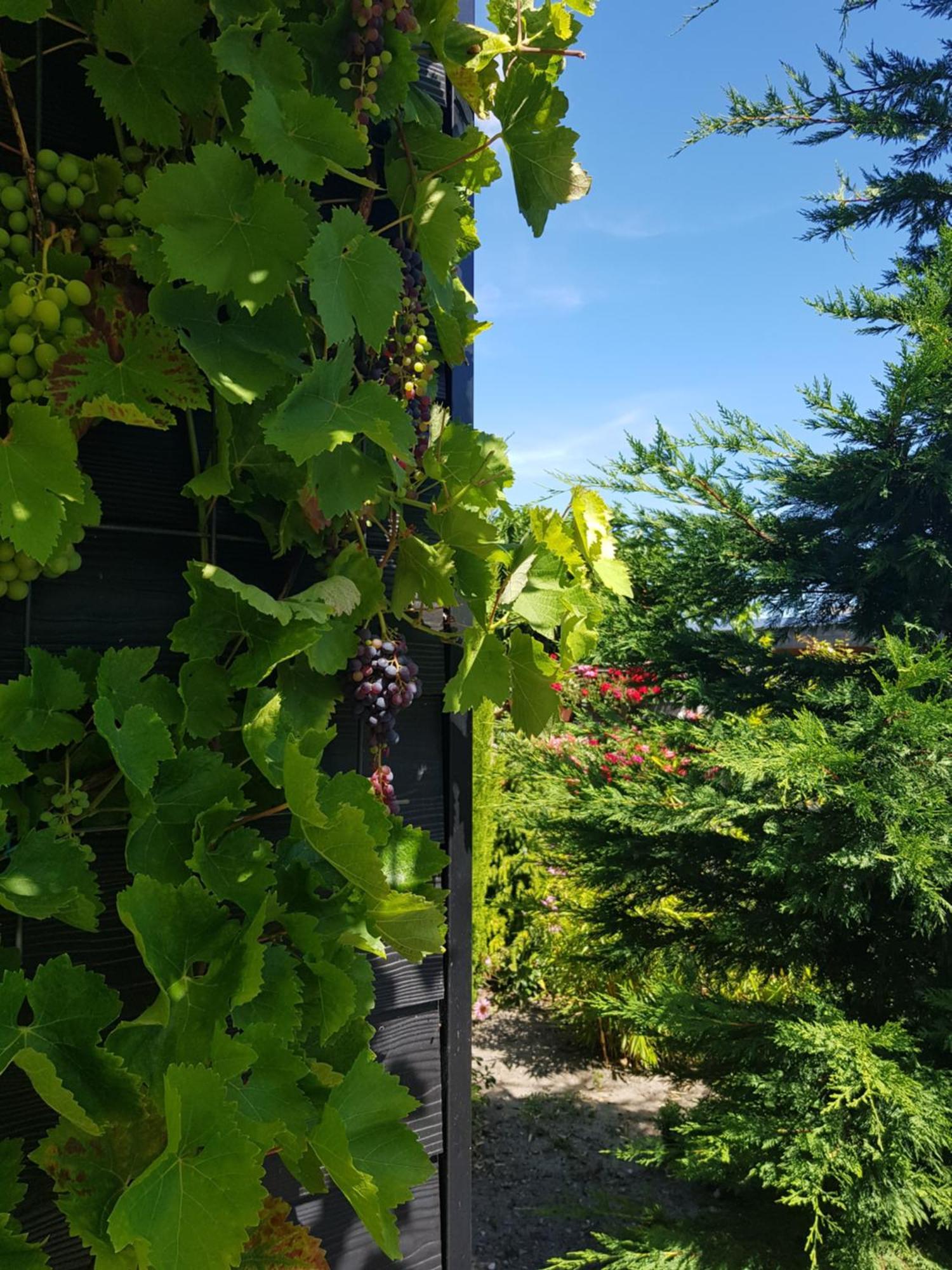 B&B Welkom Zierikzee Cameră foto