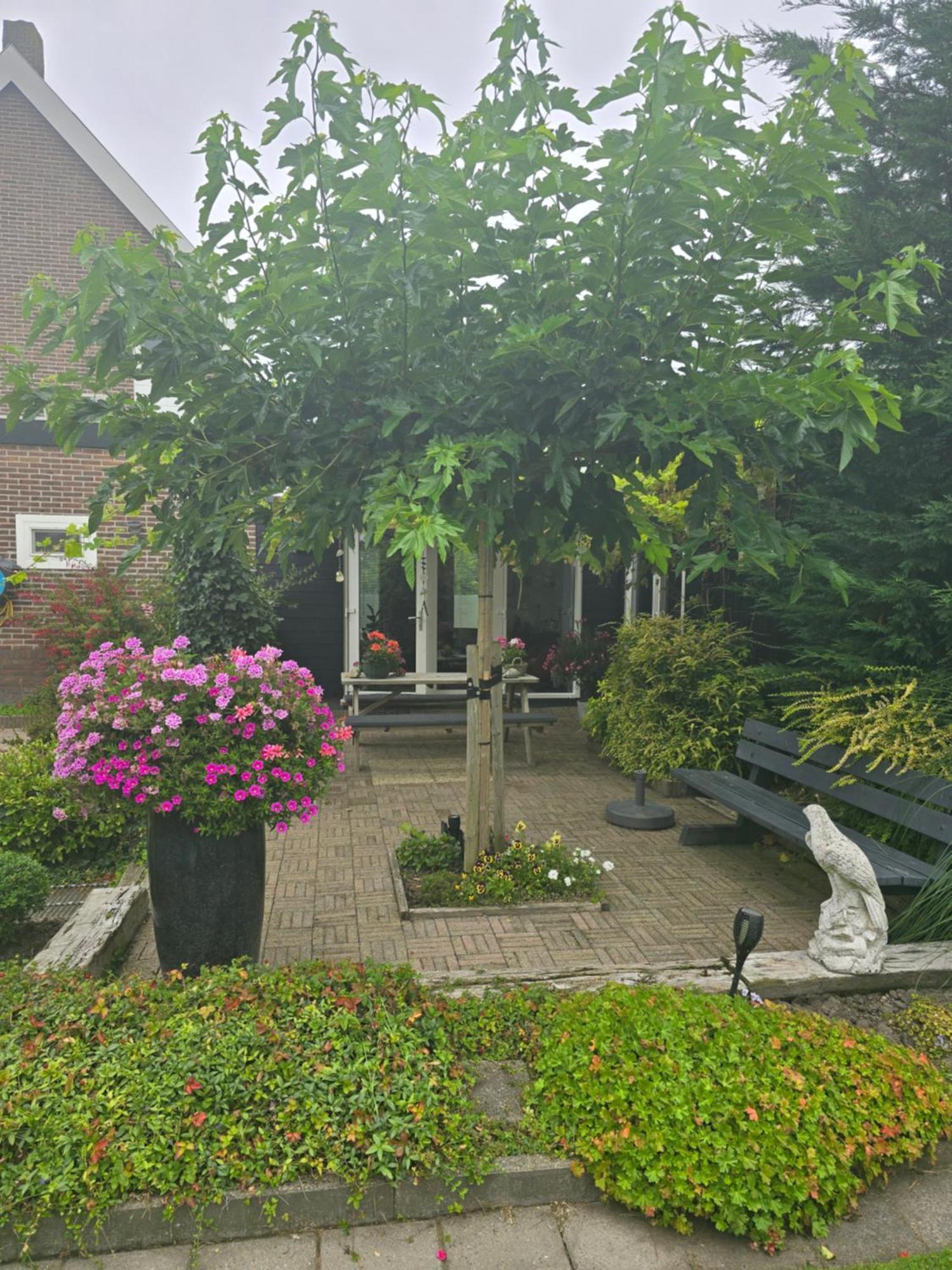 B&B Welkom Zierikzee Exterior foto